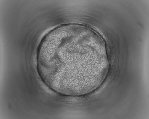 X0000113540987200910091239