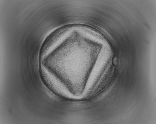 X0000113540988200910091239