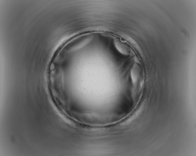 X0000113540989200910091239