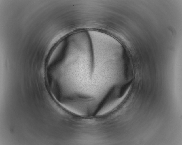 X0000113540990200910091239