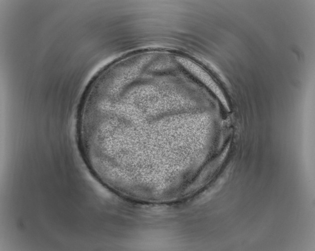 X0000113540991200910091239