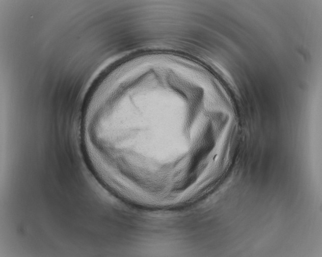 X0000113540992200910091239