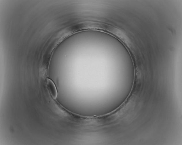 X0000113540993200910091239