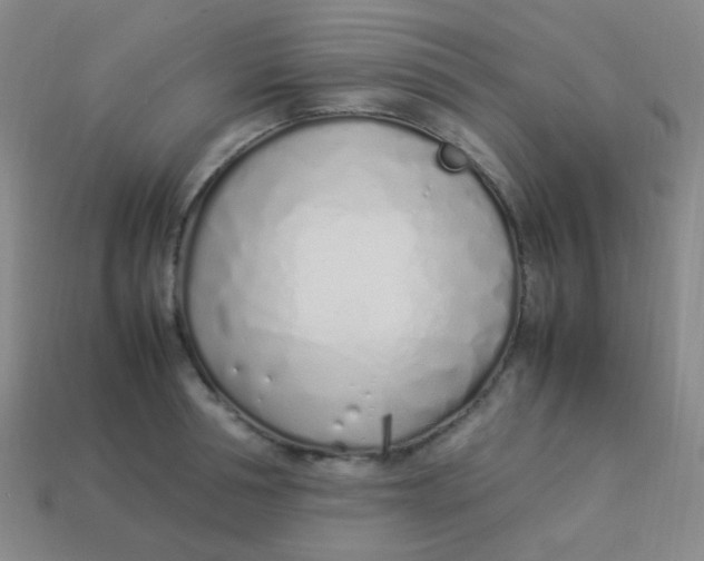 X0000113540994200910091239