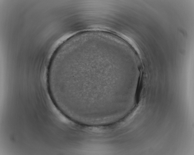 X0000113540995200910091239