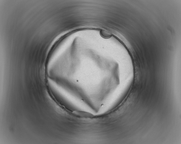 X0000113540996200910091239