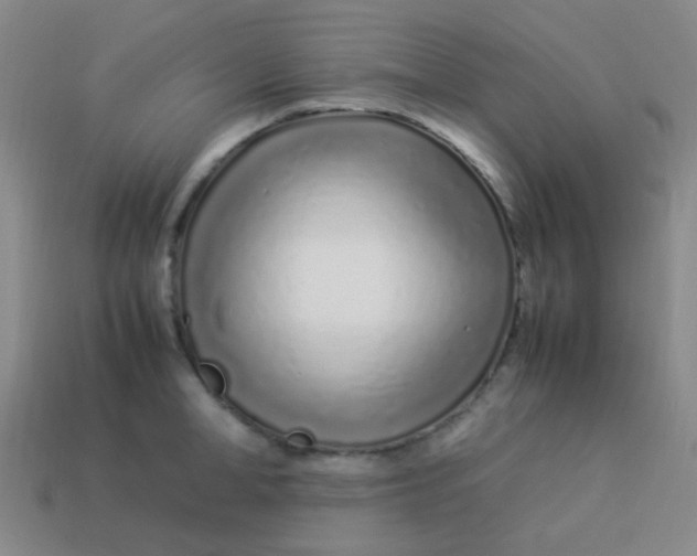 X0000113540998200910091239