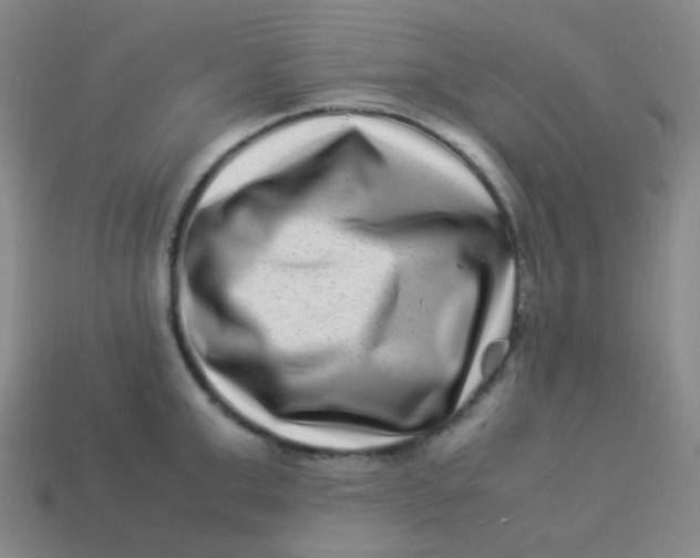 X0000113540999200910091239