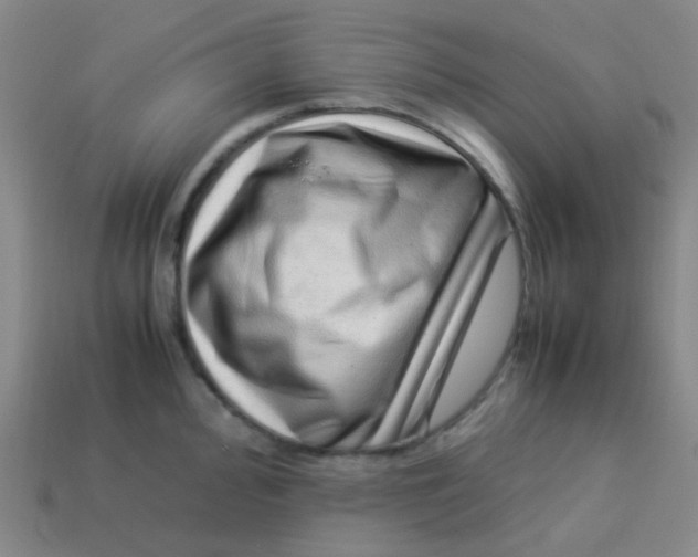 X0000113541000200910091239