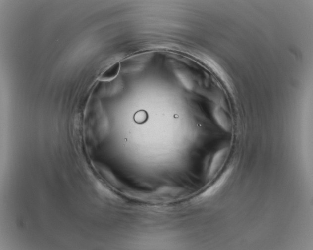 X0000113541001200910091239