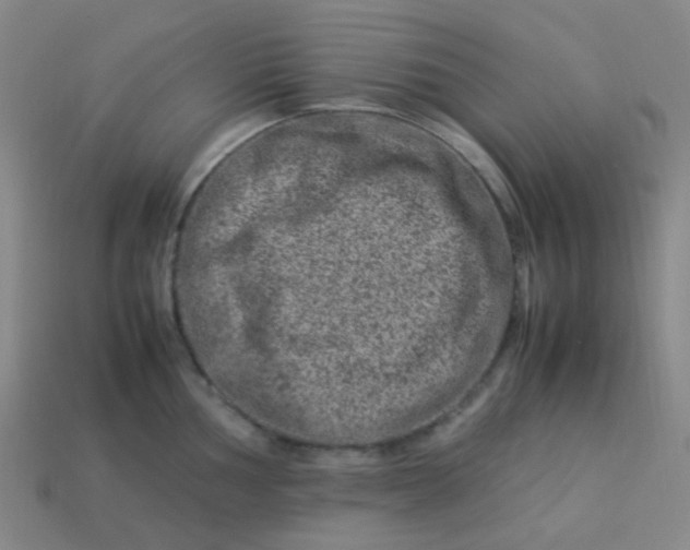 X0000113541002200910091239