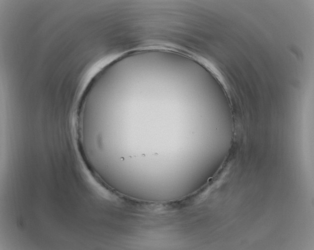 X0000113541003200910091239