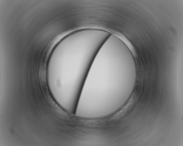 X0000113541004200910091239