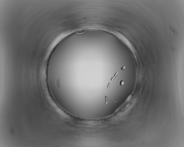 X0000113541005200910091239