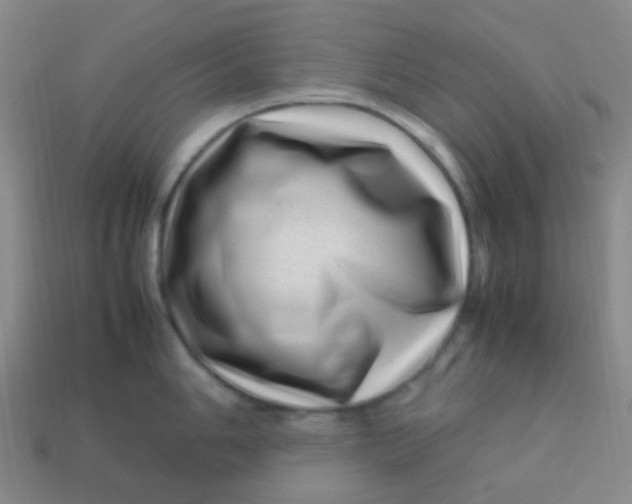 X0000113541006200910091239