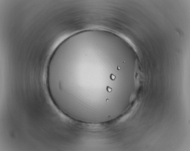 X0000113541007200910091239