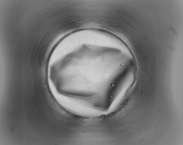 X0000113541008200910091239