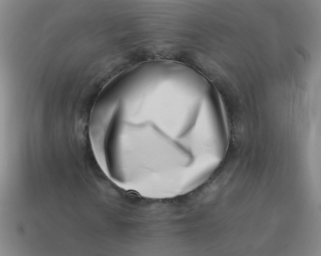 X0000113541010200910091238