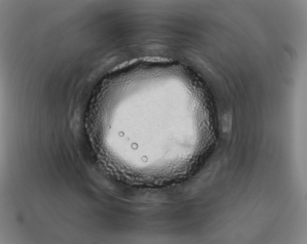 X0000113541011200910091238