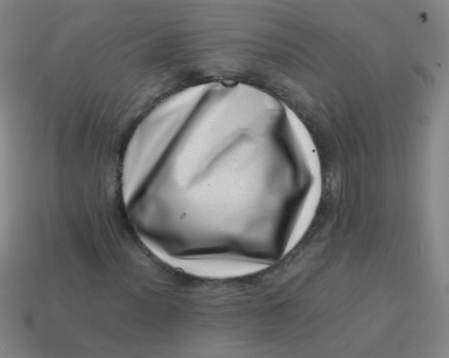 X0000113541012200910091238