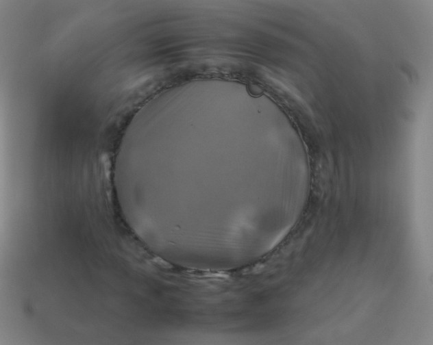 X0000113541013200910091238