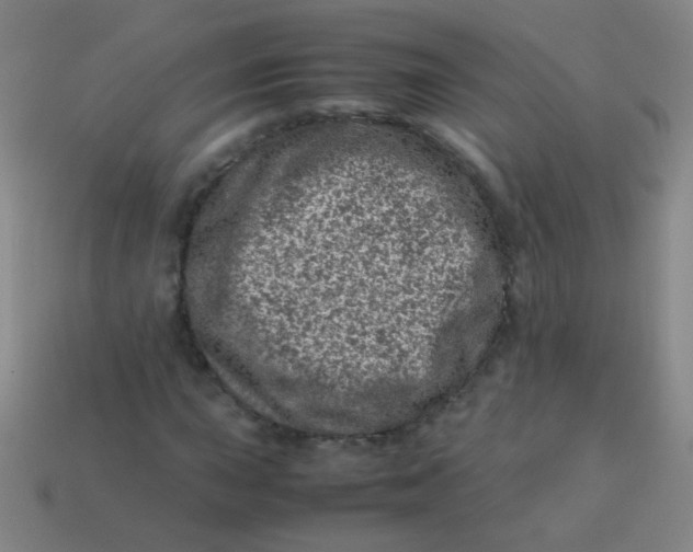 X0000113541015200910091238