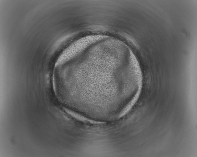 X0000113541016200910091238