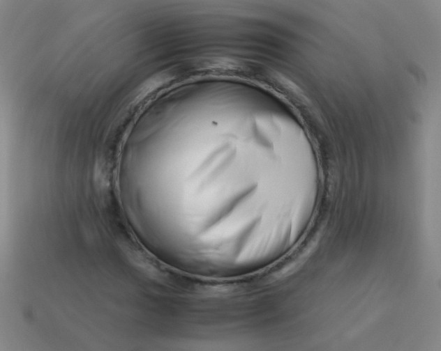 X0000113541017200910091238