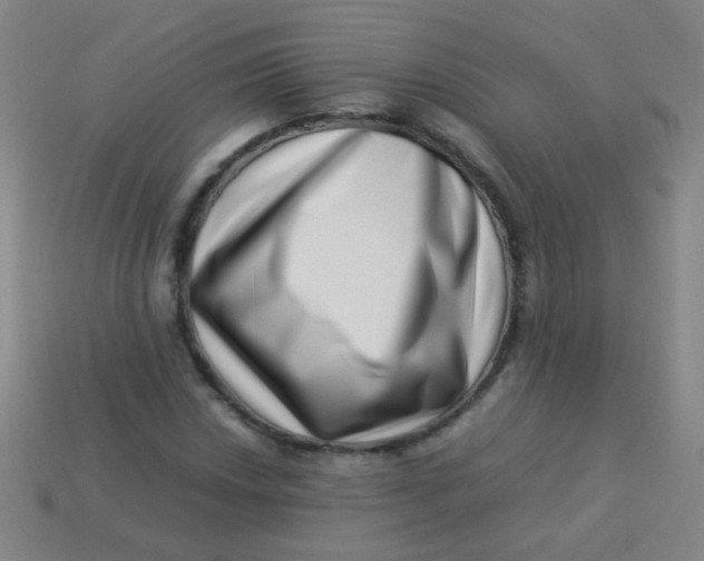 X0000113541018200910091239