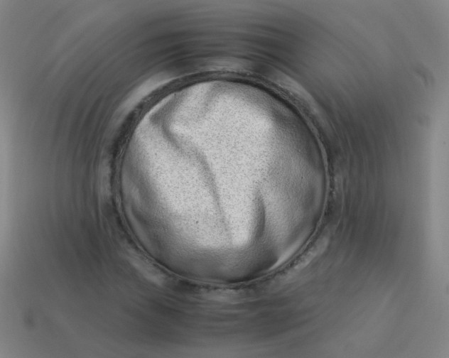 X0000113541019200910091239