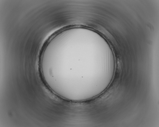 X0000113541020200910091239