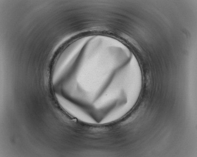 X0000113541021200910091239