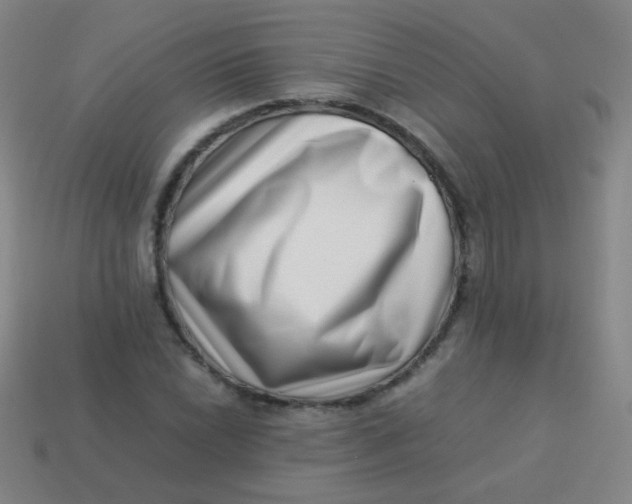 X0000113541022200910091239