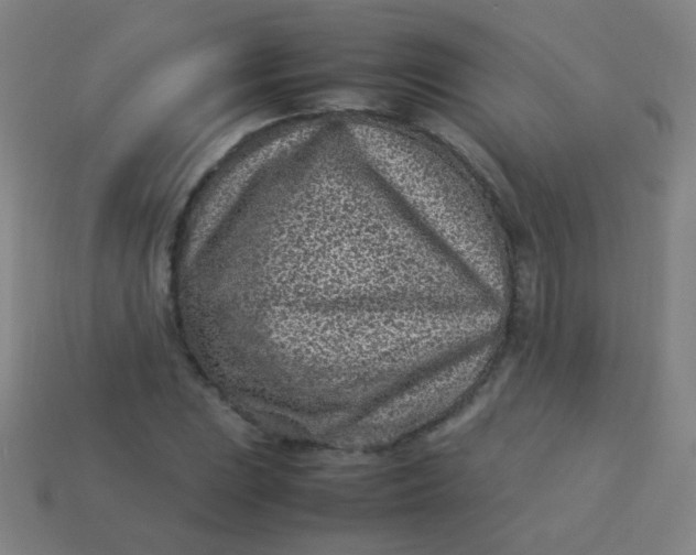 X0000113541023200910091239