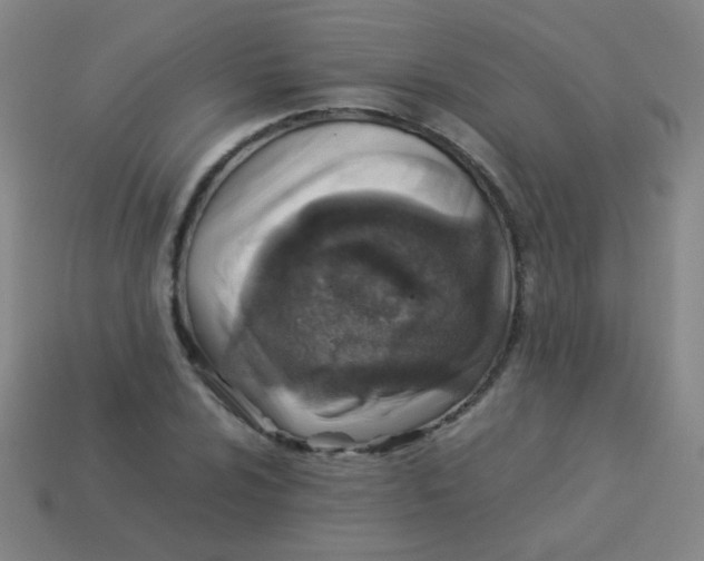 X0000113541024200910091239