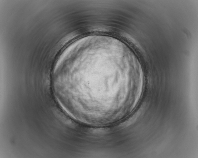 X0000113541025200910091239