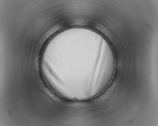 X0000113541026200910091239