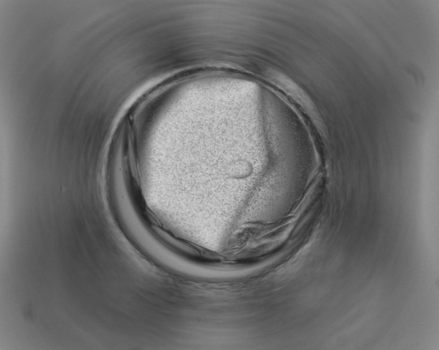 X0000113541028200910091239