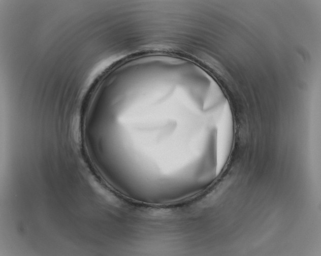 X0000113541030200910091239