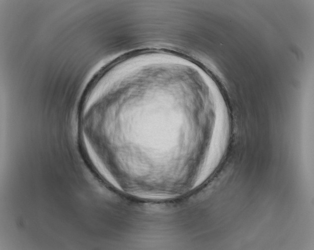 X0000113541032200910091239