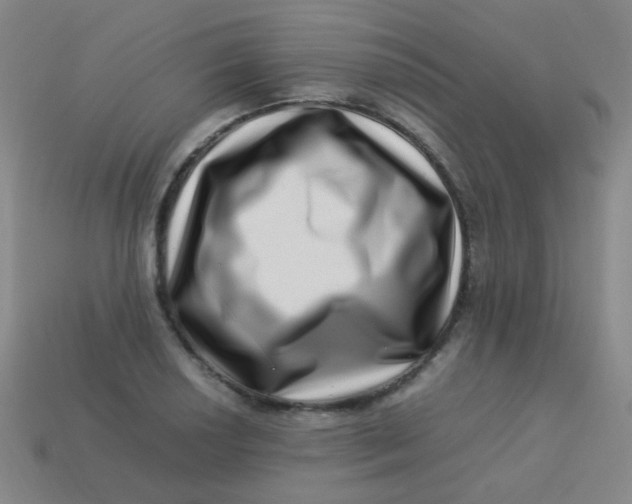 X0000113541034200910091239