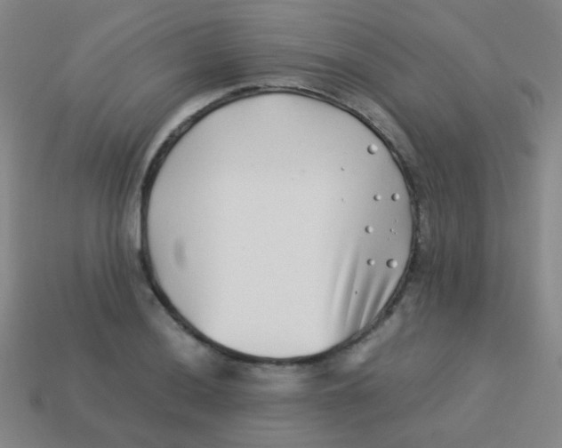 X0000113541036200910091239