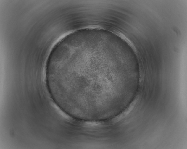 X0000113541037200910091239