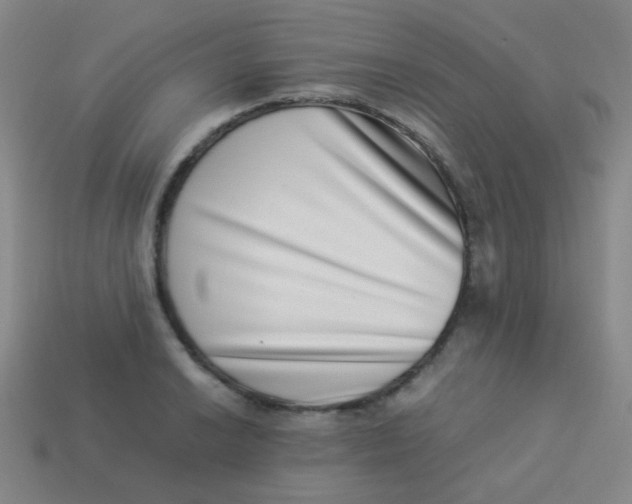 X0000113541038200910091239