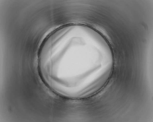 X0000113541040200910091239