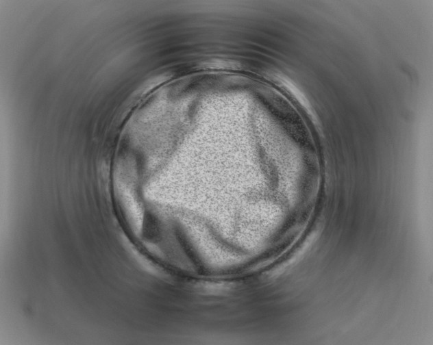 X0000113541041200910091239