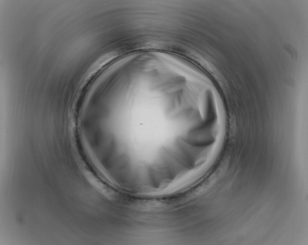 X0000113541042200910091239