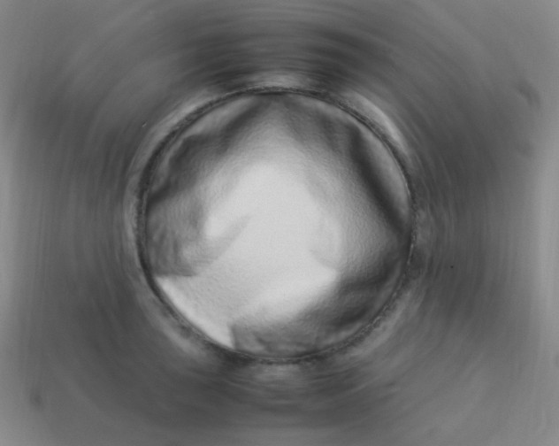 X0000113541043200910091239