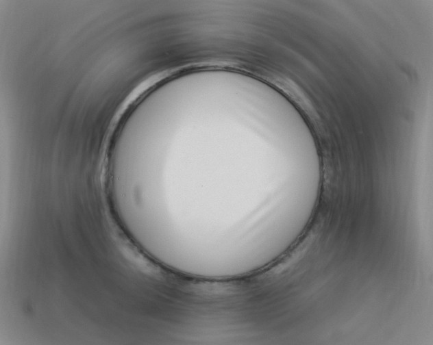 X0000113541044200910091239