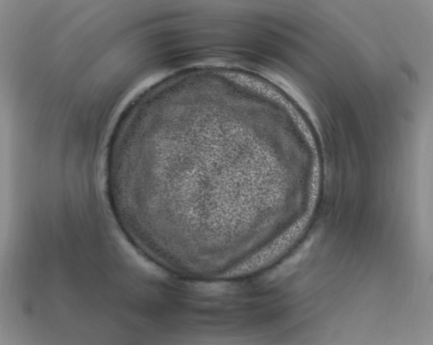 X0000113541045200910091239